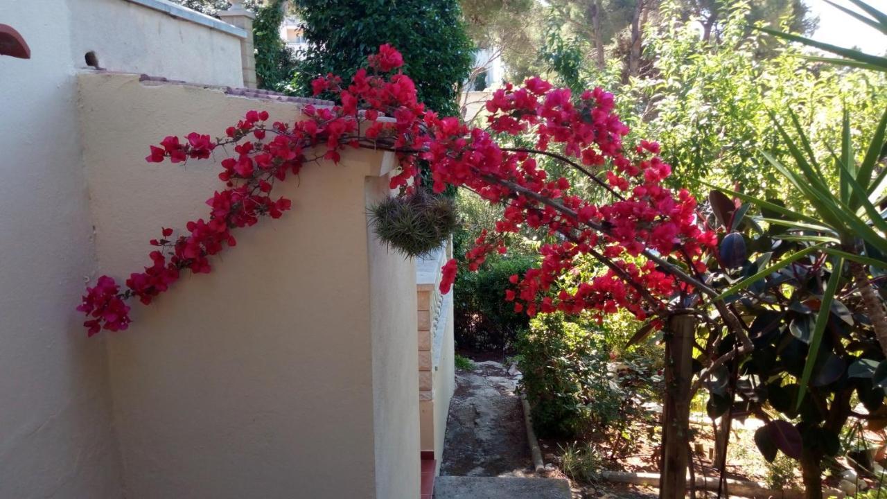 Casa Montse Villa Cala Galdana  Eksteriør billede